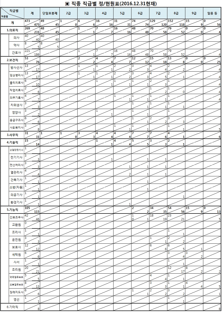 2016년 운영인력현황