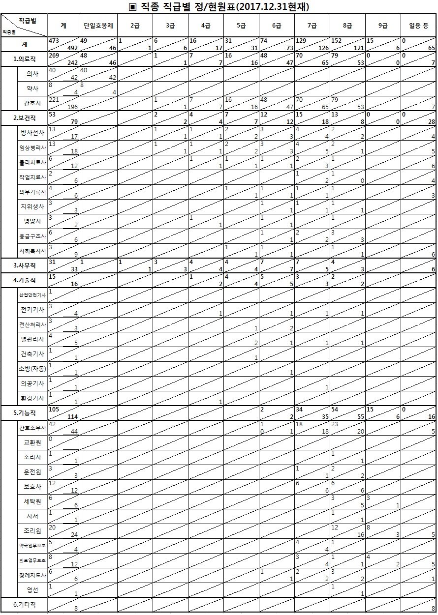 2017년 운영인력현황