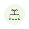Organizational structure